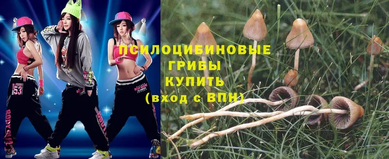 shop клад  Белогорск  Псилоцибиновые грибы Psilocybe 